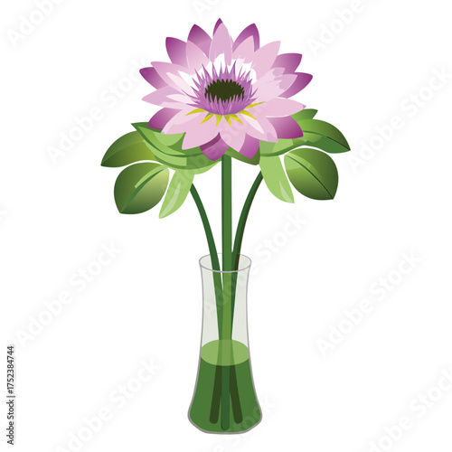 Pink and white chrysanthemum flowers in a vase on a white background