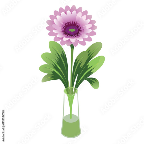 Pink gerbera and chrysanthemum flowers in a vase on a white background