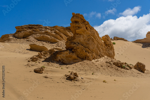 Dunes in Porto Santo island, Madeira, Portugal