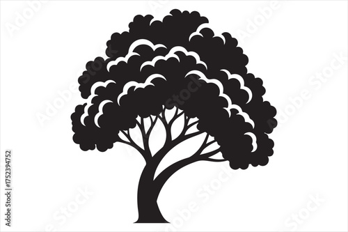 Silhouette of a detailed deciduous tree silhouette a white background