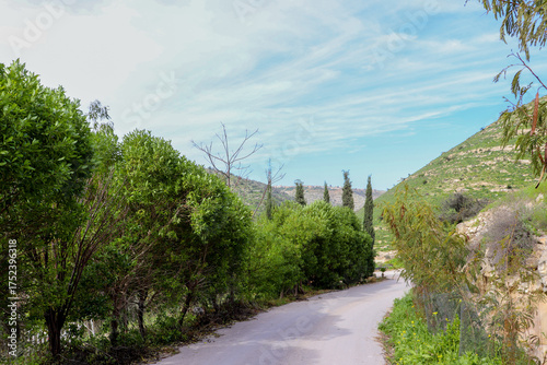 Irbid, Amman - The road to Birkat al-Arais - hiking in nature, among forests and trees 