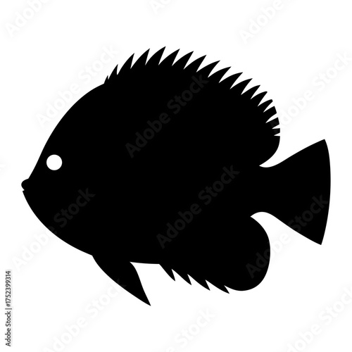 Bristlenose pleco fish vector illustration scalable graphic design aquatic pet aquarium dweller clean water icon for digital and print projects silhouette