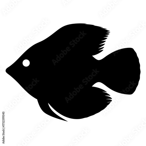 Black silhouette of a bristlenose pleco fish aquatic animal silhouette fish icon