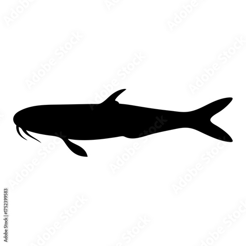 Transparent glass catfish vector illustration scalable icon for aquatic life and marine biology projects silhouette