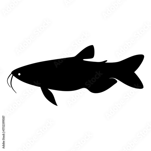 Transparent glass catfish vector illustration for aquatic art and marine biology designs scalable eps icon silhouette