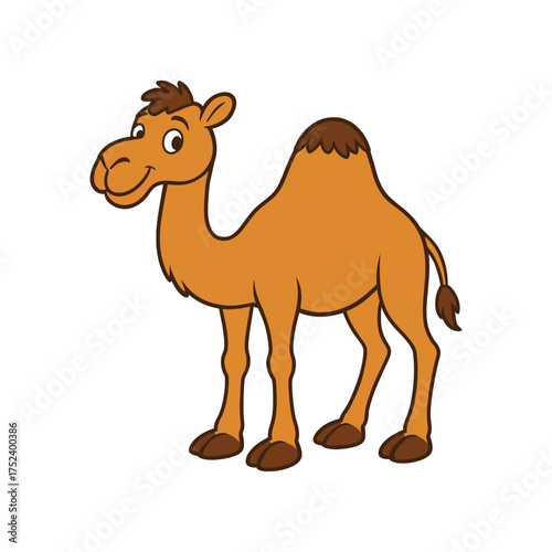 camels in the desert