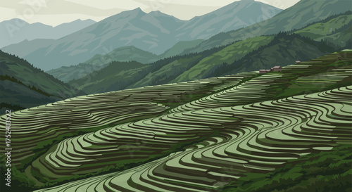 Scenic terraced hills and lush green mountains under a cloudy sky