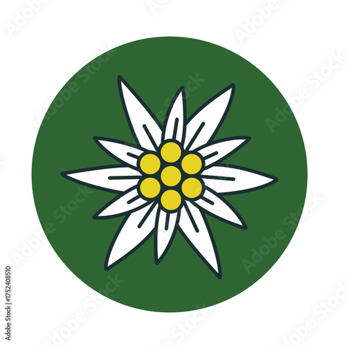 Edelweiss flower symbol alps	
