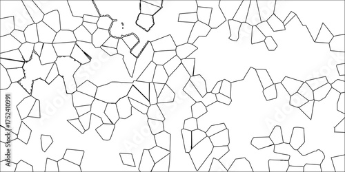 Black and white outline of irregular geometric cells and organic shapes forming a complex network pattern on a clean white background, ideal for scientific or abstract illustrations