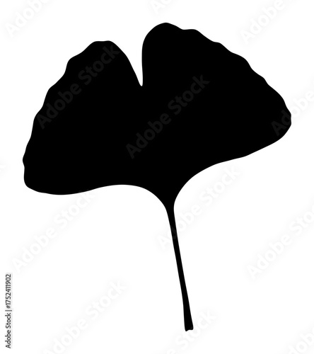 Ginkgo Leaf Silhouette Vector - Minimalist Design