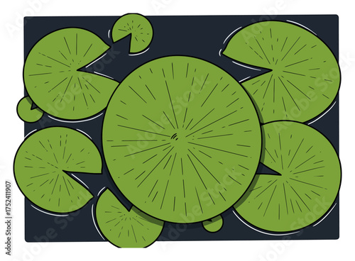 Water Lily Pad Vector Illustration on White