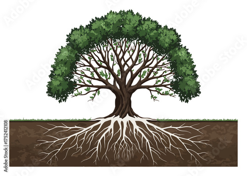 Symmetrical Tree Root System Vector Illustration - Mirror Image Branches, Minimalist Design