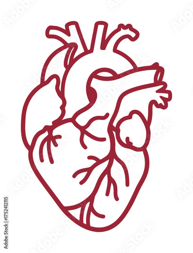 Anatomy of Hope: Minimalist Vector Design