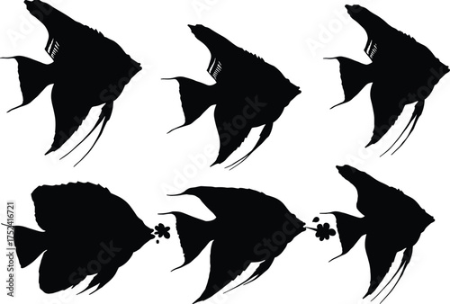 Angelfish silhouette collection, tropical fish vector, marine animal artwork, underwater sea creature design, ocean wildlife illustration, aquatic fish graphic, reef fish set