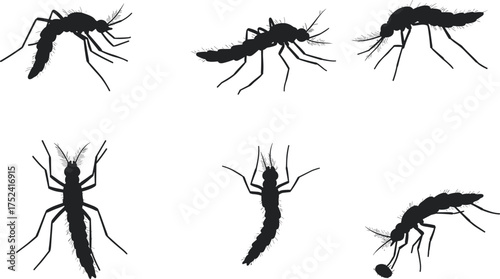 Mosquito silhouette collection, insect vector artwork, flying bug illustration, black mosquito shapes, animal poses, entomology study, zoology design, educational biology nature art