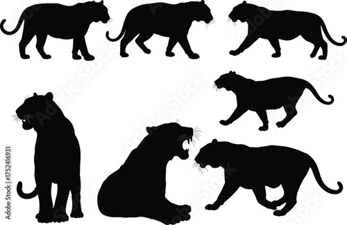 Panther silhouette collection, big cat vector artwork, wild animal illustration, black feline poses, predator movement study, zoology design, educational biology nature art