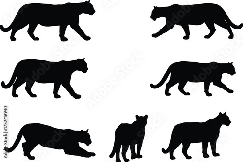 Panther silhouette collection, big cat vector artwork, wild animal illustration, black feline shapes, predator poses, zoology study, wildlife design, educational nature art