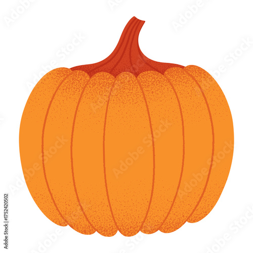 Pumpkin vector isolated.Autumn seasonal element.Hand drawn halloween,thanksgiving,harvest festival illustration for prints,flyers,banners,covers,branding design,clipart.