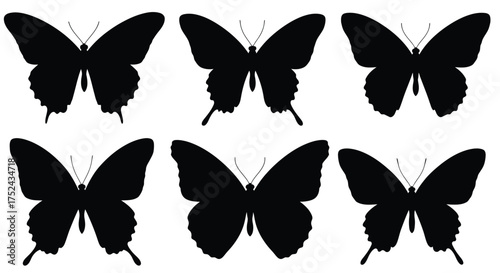 A collection of black butterfly silhouettes arranged in a grid pattern