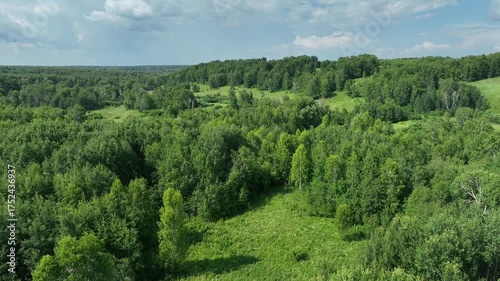 View from above of a wooded area in summer. 