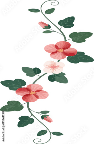 Delicate Pink and Red Hollyhock Flowers on a Stem with Leaves floral plant