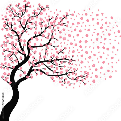 Silhouette of a black cherry blossom tree with pink petals scattering sakura