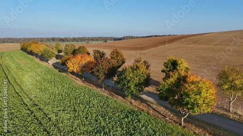 Petite route de campagne bordée d'arbres aux couleurs d'automne en milieu rural , Meurthe-et-Moselle, Lorraine. 