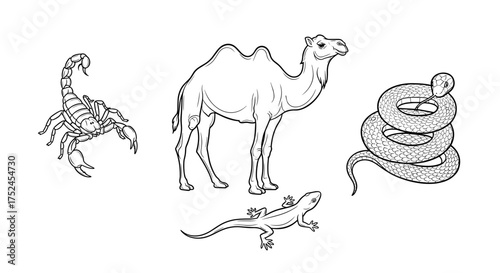 Illustration of a camel scorpion snake and lizard in black and white