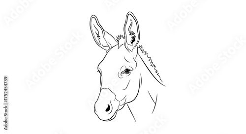 Illustration of a donkey head with long ears and detailed lines