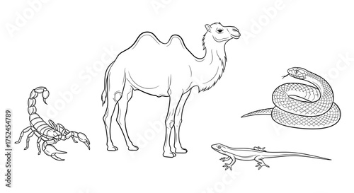 Illustration of desert animals including camel scorpion snake lizard