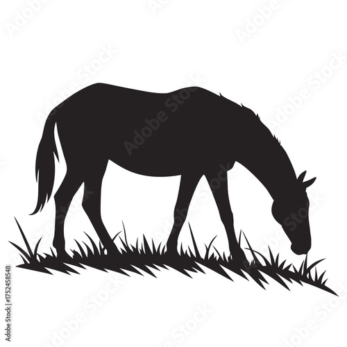 Horse grazing on grass silhouette