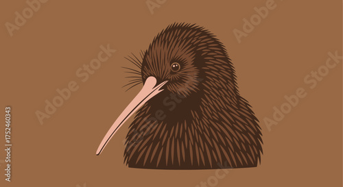 Illustration of a Kiwi Bird Head.