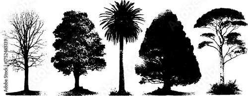 Black and white grunge linocut illustration set featuring birch and oak trees - vintage woodland design