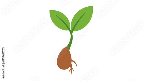 New Seedling Sprout Growing Seed Plant Life Minimalist Growth Vector