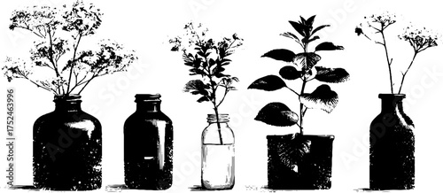 Rustic grunge linocut of floral arrangements in bottles for vintage design decor