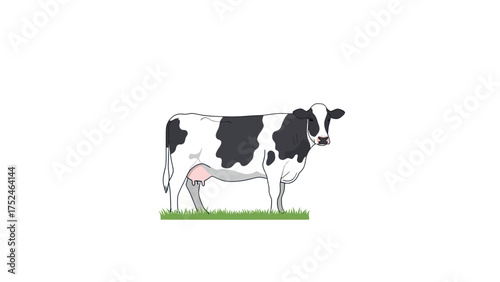 Holstein Dairy Cow Standing Grass Farm Animal Agriculture Vector