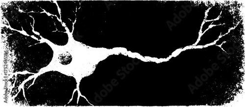 Grunge linocut neuron illustration set - black and white neuronal design for science and art
