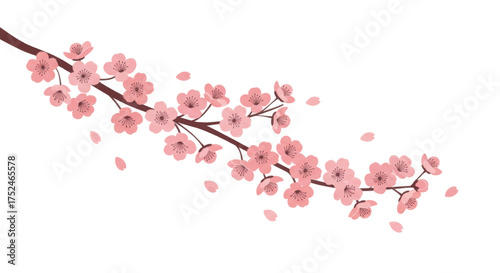 Beautiful cherry blossom branch with falling petals, a symbol of spring