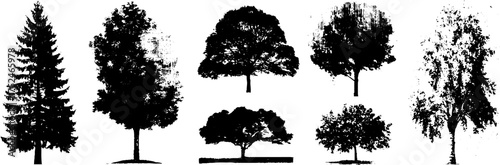 Black and white grunge linocut tree illustration set for botanical design