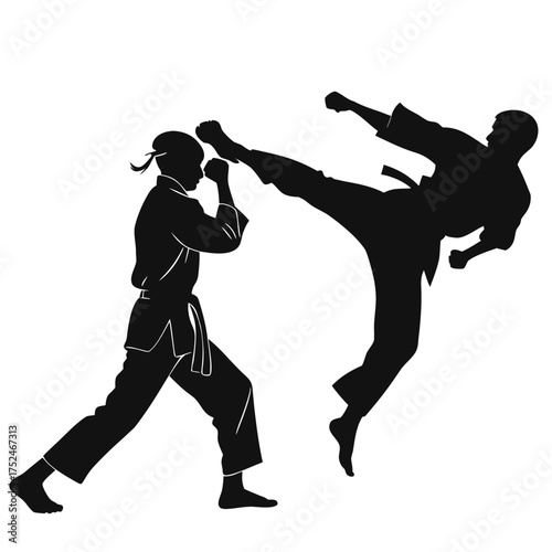 Karate sparring silhouette