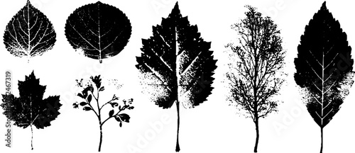 Black and white grunge linocut set of tree and leaf silhouettes for artistic design and print