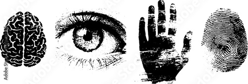 Grunge linocut illustration set of human brain, eye, hand, and fingerprint