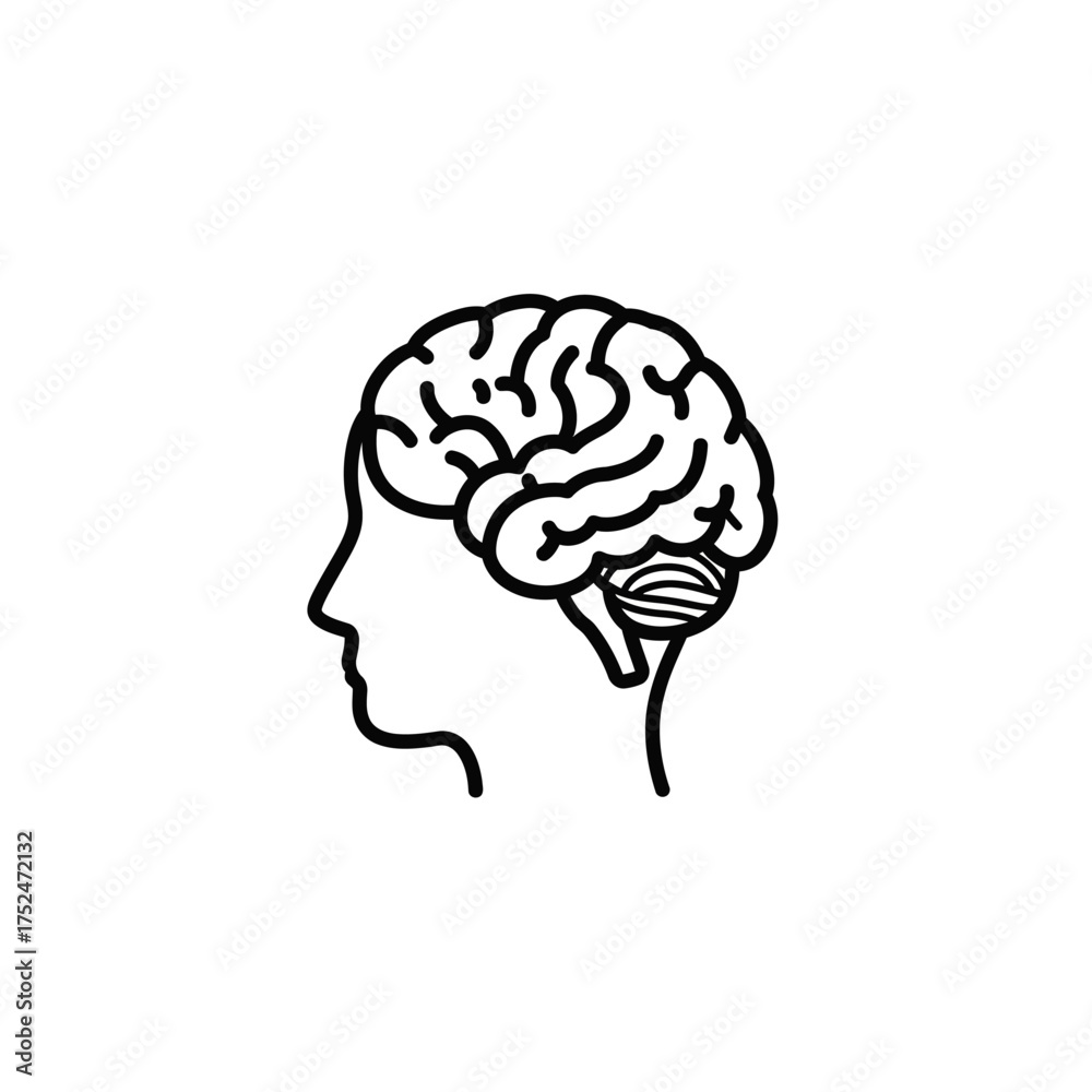 Obraz premium Human brain illustration, side view, black and white line art.