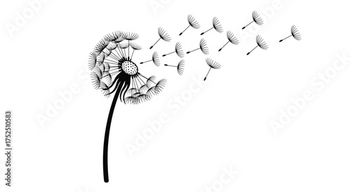 Delicate dandelion seeds drifting serenely in the breeze, bringing a touch of nature's beauty and gentle freedom to creative projects