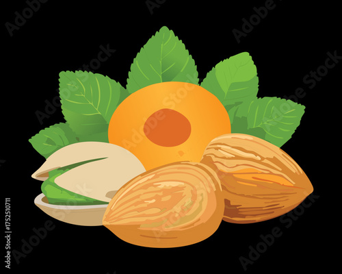 Composition of a halved apricot fruit next to shelled pistachios and crunchy almonds for a delicious and nutritious pairing - Vector Illustration