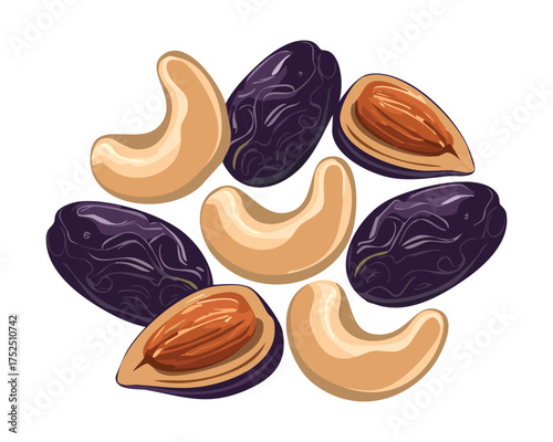 A handful of whole cashews mixed with dark dried prunes or raisins creates a rich and wholesome sweet snack full of fiber - Vector Illustration