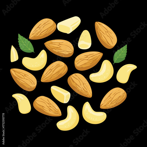 Scattered heap of various almond nuts and bright cashews isolated for a high-quality food source of protein and essential energy - Vector Illustration