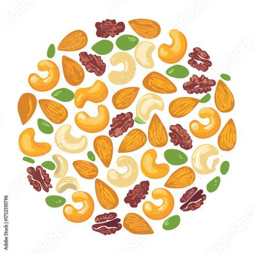 Circular pattern of assorted nuts and seeds, including cashews, almonds, and hazelnuts, creating a vibrant, appealing, and nutritional shape - Vector Illustration