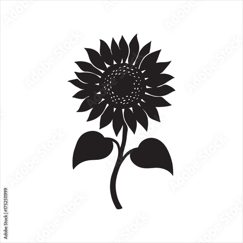 sunflower vector illustration silhouette