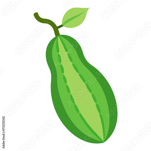 Bitter gourd with leaves food vector on white background.